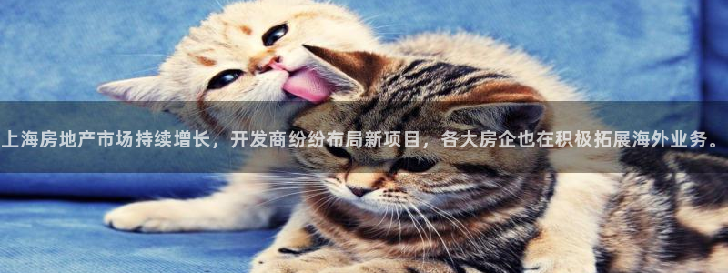 万向娱乐的494o3 主管