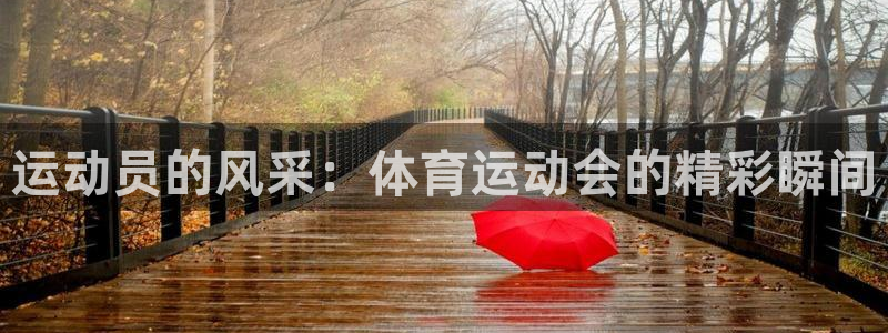 中欧体育ac米兰