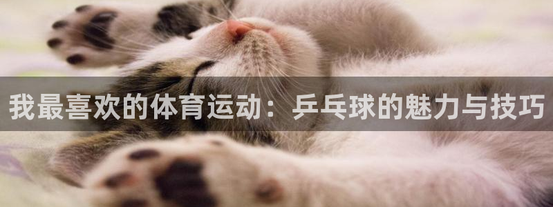 kok新版中欧体育