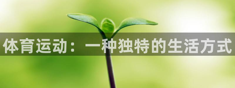 中欧体育