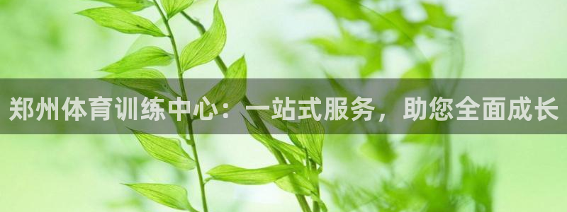 中欧体育登录