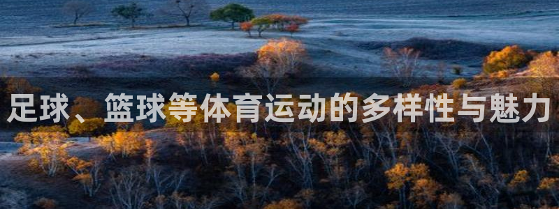 中欧体育