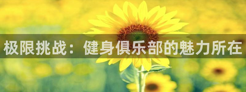 中欧体育zoty下载