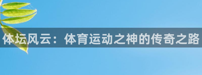 中欧体育最新地址