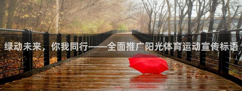 中欧体育集团